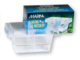 Marina Kotnik 2w1 dla ryb