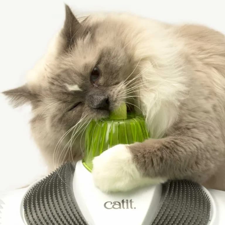 Catit legowisko dla kota z masażerem Wellness Center od Hagen