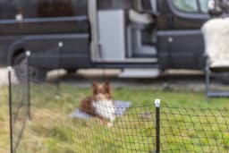 Trixie Przenośne ogrodzenie, dla psa, czarne 15 m