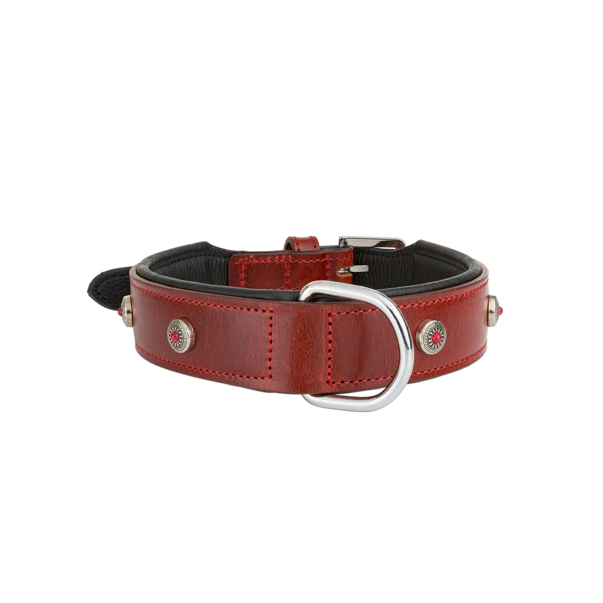 Barry King Obroża skórzana – M 55 cm/34 mm
