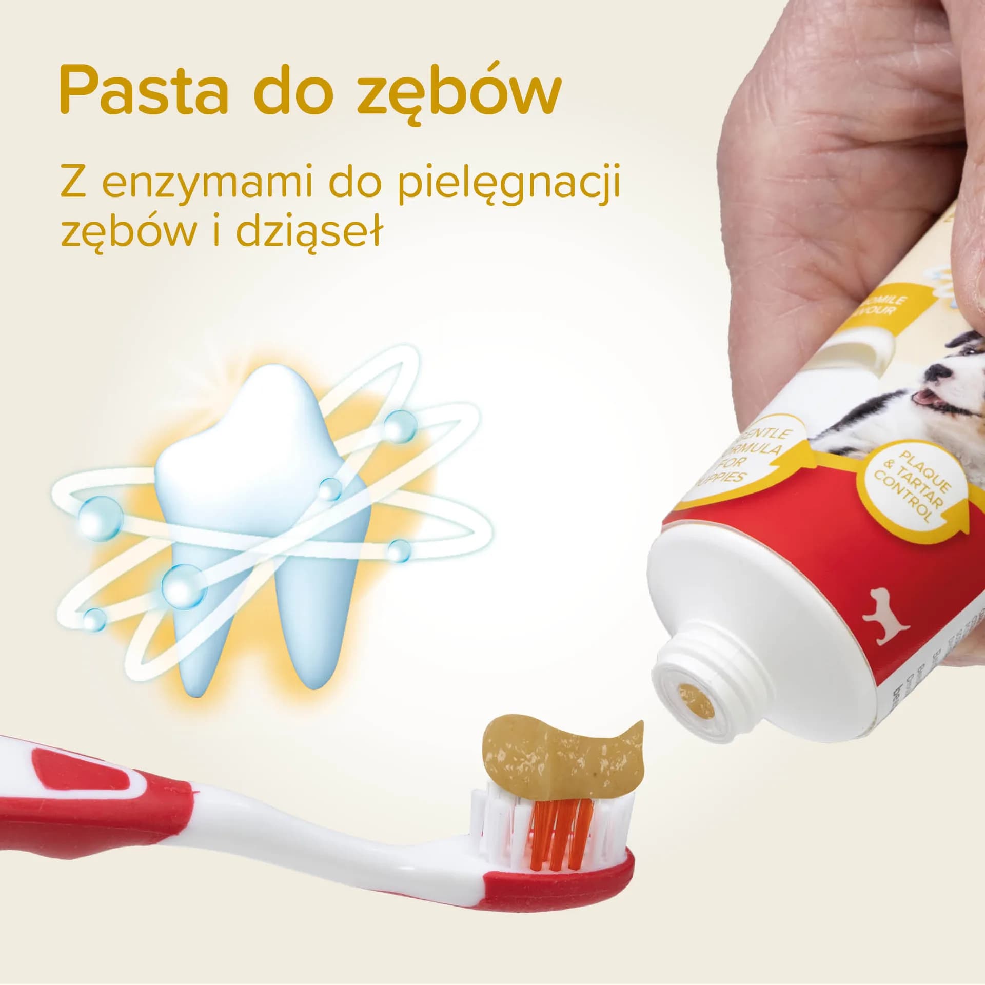 Beaphar Puppy Dental Kit zestaw szczoteczki dla szczeniąt i naparstkowa + pasta do zębów
