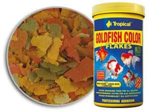 Tropical Goldfish Color