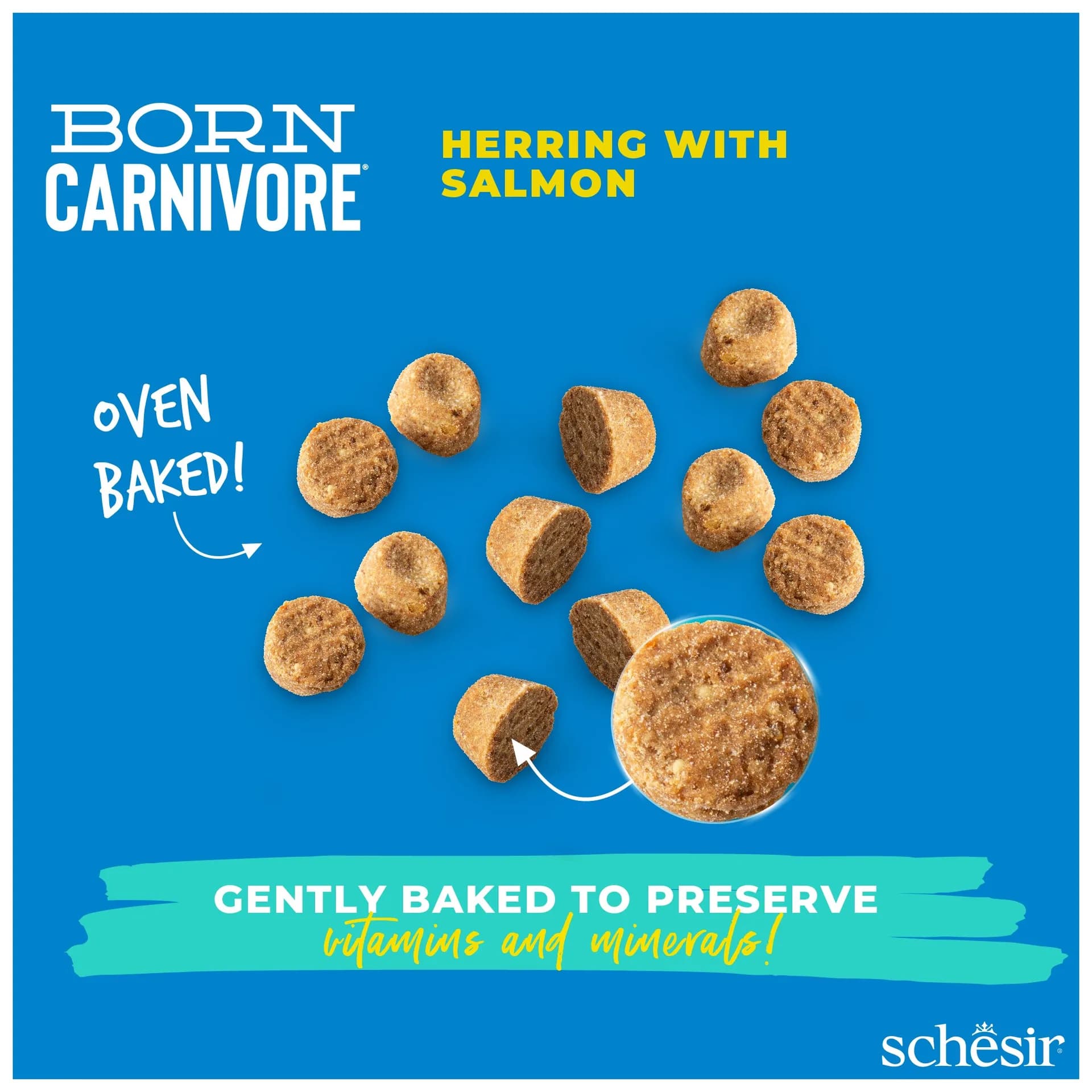 Schesir Born Carnivore karma sucha dla kotów dorosłych śledź i łosoś – 255 g