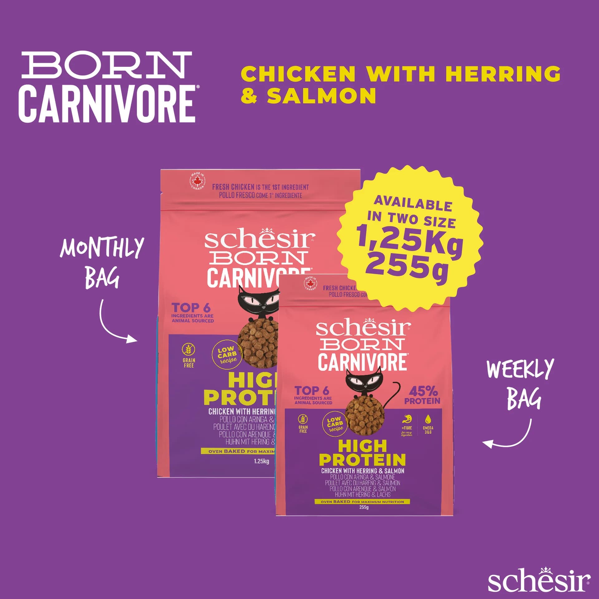 Schesir Born Carnivore karma sucha dla kotów o smaku kurczak i śledź – 1,25 kg
