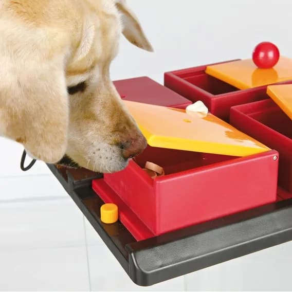 Trixie Gra strategiczna dla psa Poker Box 1 Poziom 2