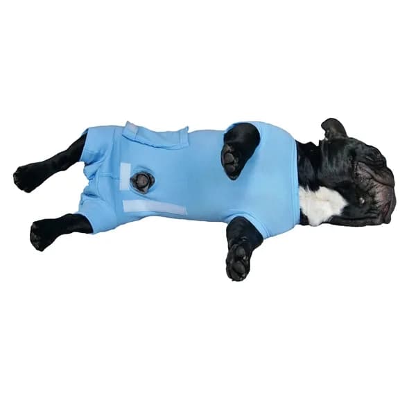 Grande Finale Body pooperacyjne dla samca psa – XXS