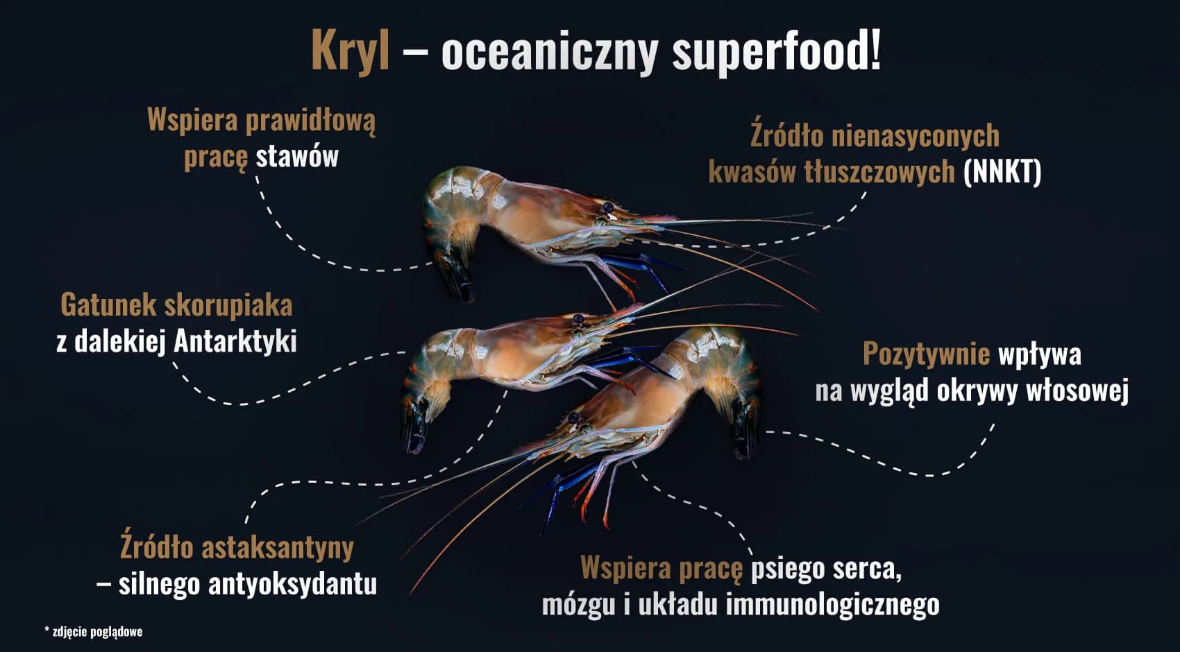 John Dog Berry Mini Rasy wołowina z krylem – 120 g