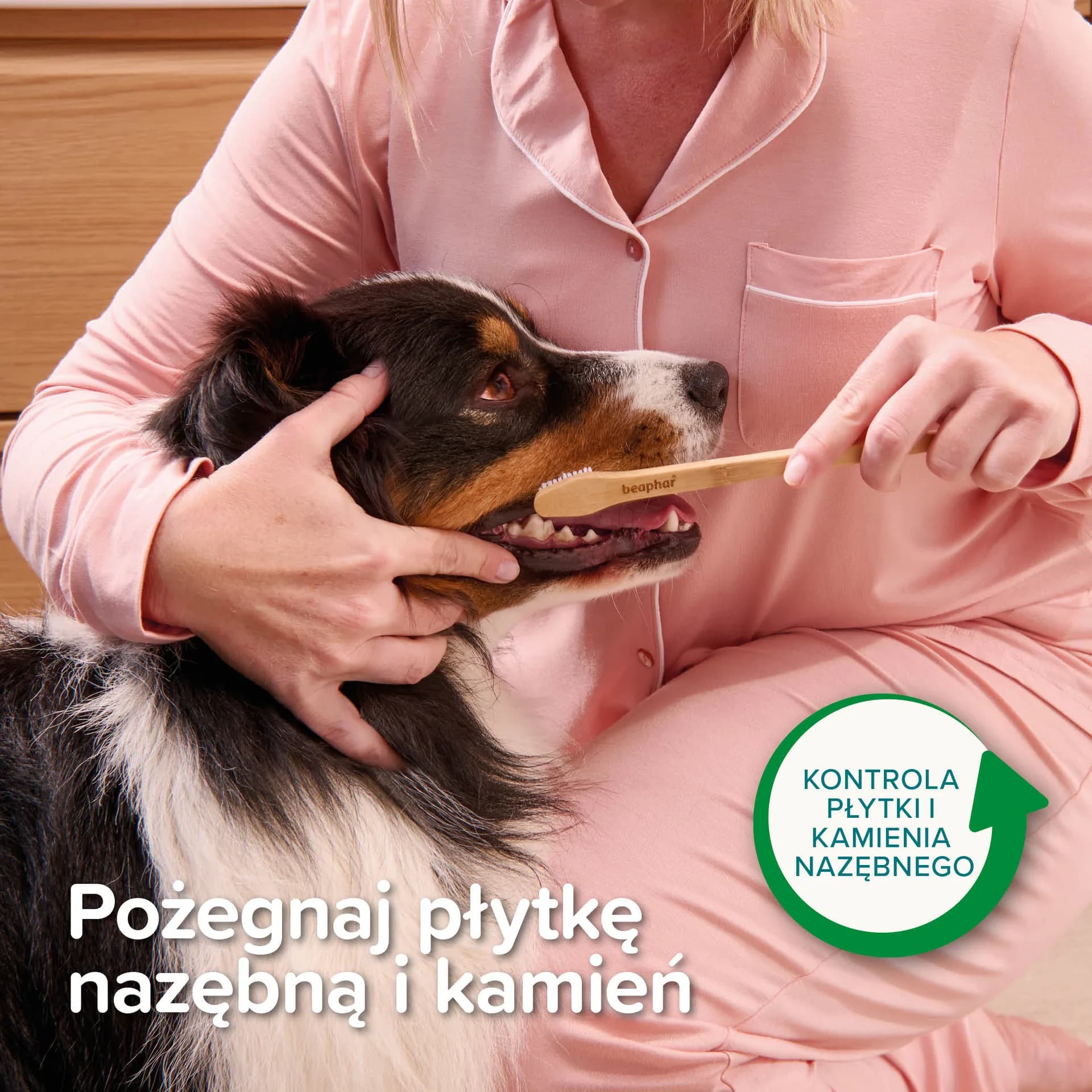 Beaphar dwustronna bambusowa szczoteczka do zębów dla psów i kotów