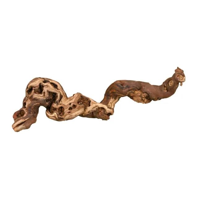 Trixie Korzenie winorośli piaskowane rozm. 3 45-70 cm 5 kg 5 szt.