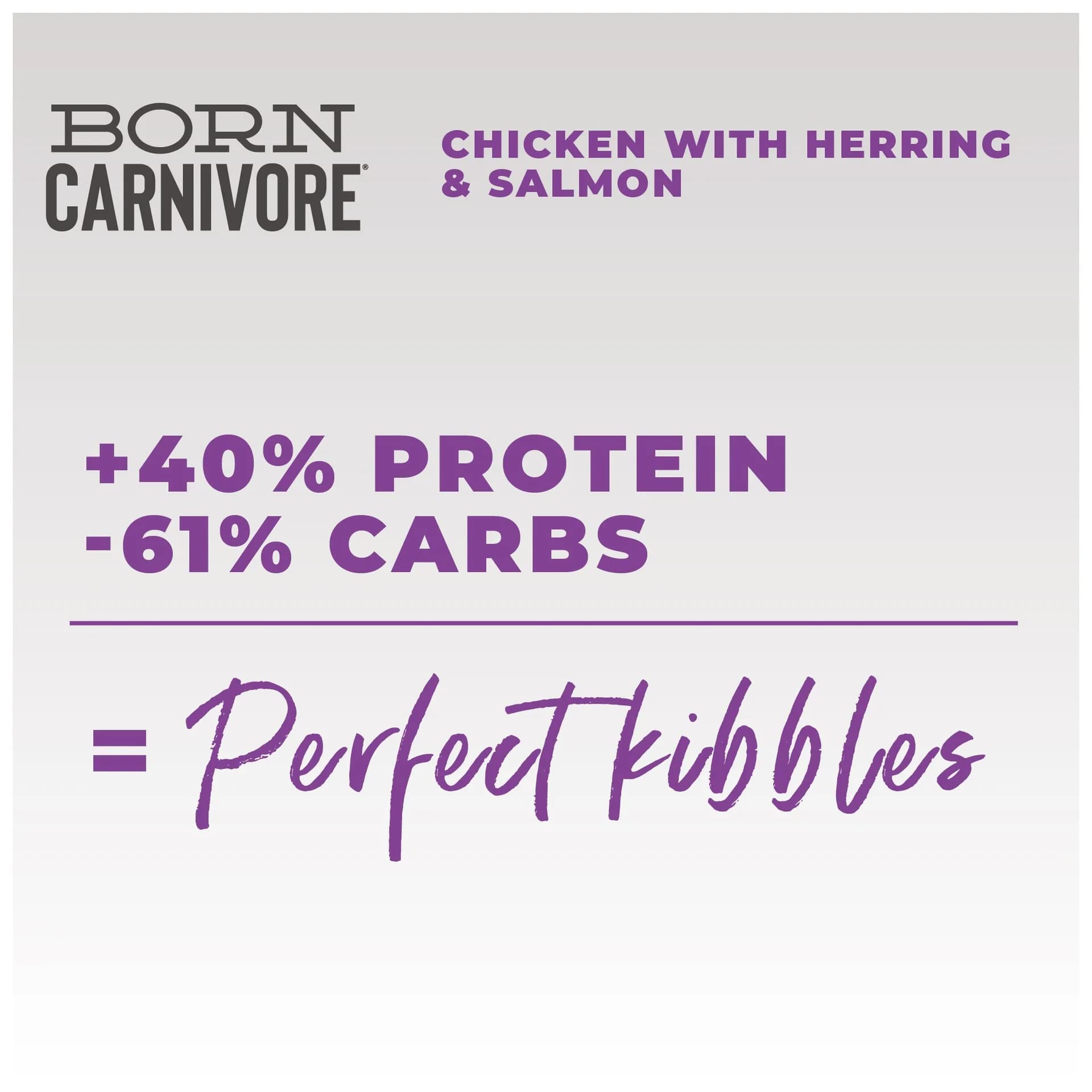 Schesir Born Carnivore karma sucha dla kotów o smaku kurczak i śledź – 255 g