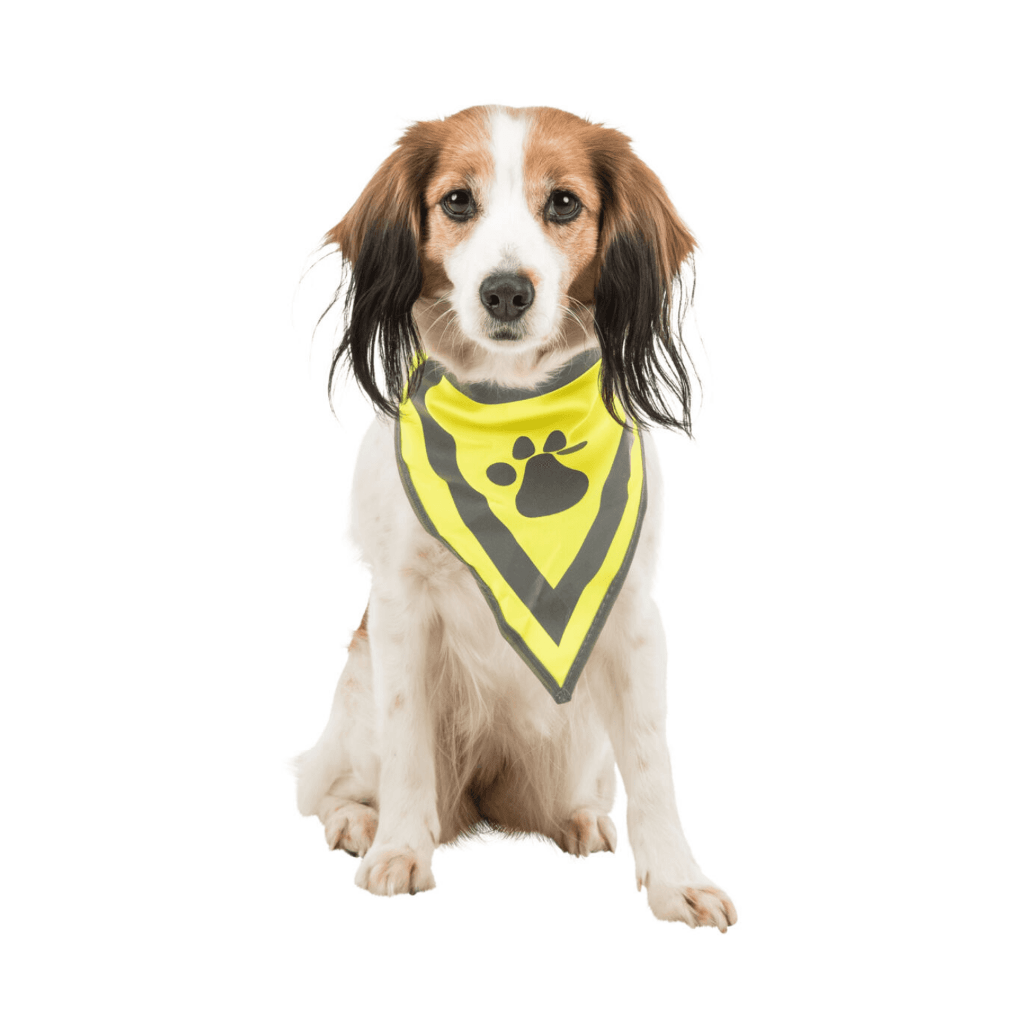 Trixie Safer Life Bandamka odblaskowa