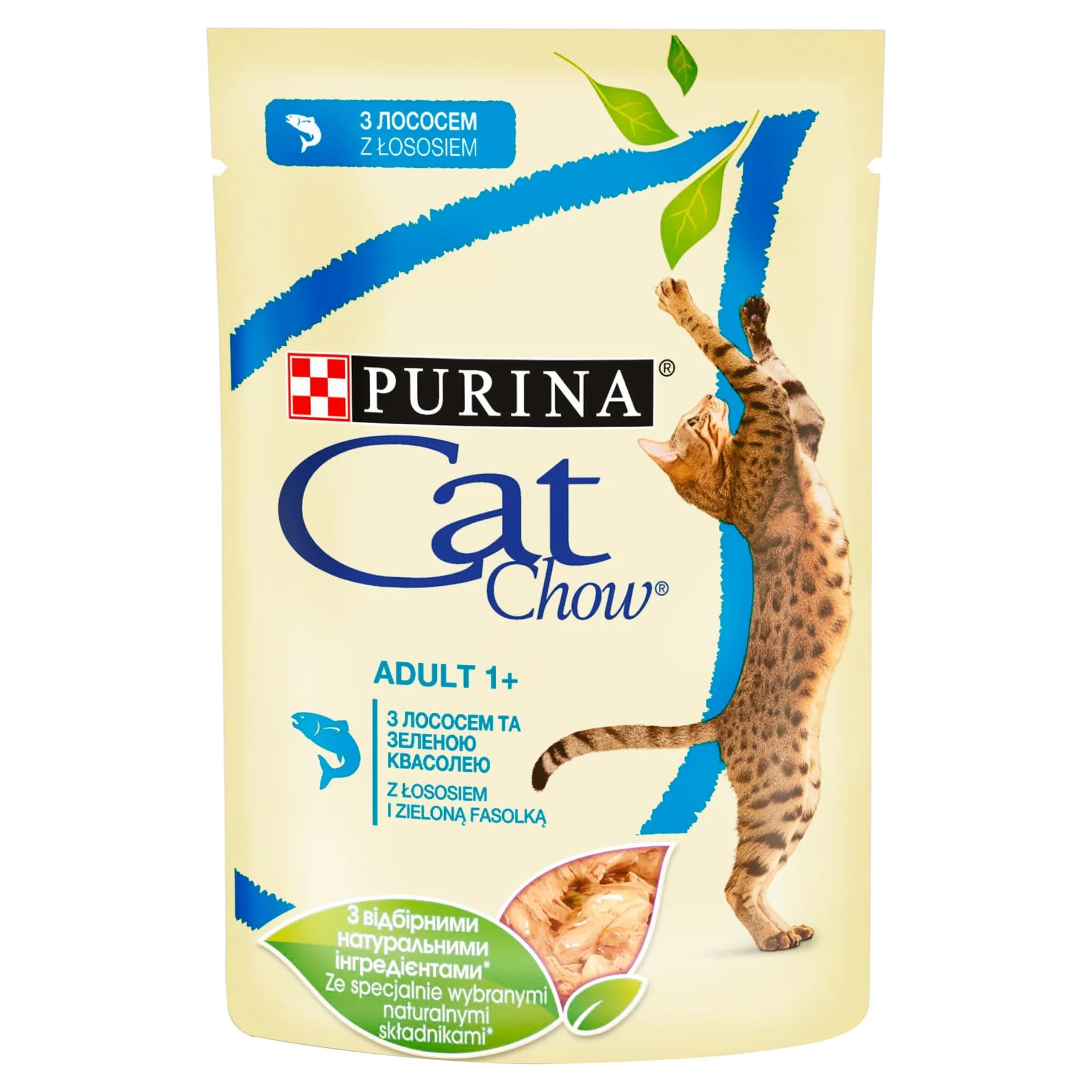 Cat Chow Purina Adult mokra karma z łososiem i zielonym groszkiem w galaretce – 85 g
