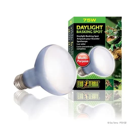 Exo-Terra Żarówka Day Glo Basking Spot – 50 W