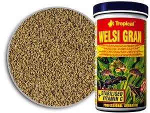 Tropical Welsi Gran puszka