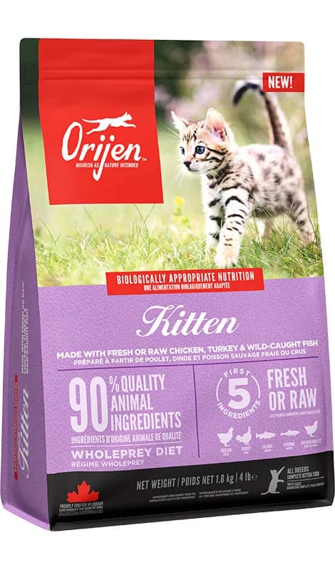 Orijen Cat & Kitten karma sucha dla kotów i kociąt – 1,8 kg