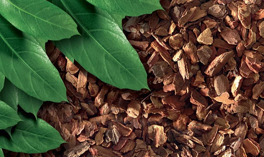 Exo-Terra Podłoże do terrarium Forrest Bark – 8,8 l