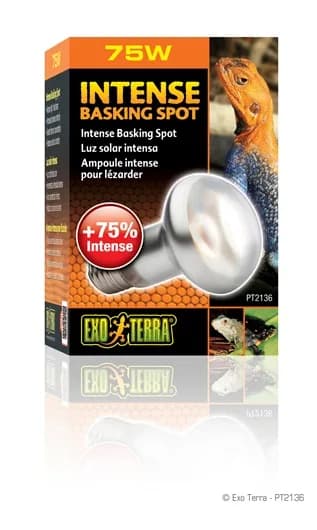 Exo-Terra Żarówka Day Glo Basking Spot – 50 W