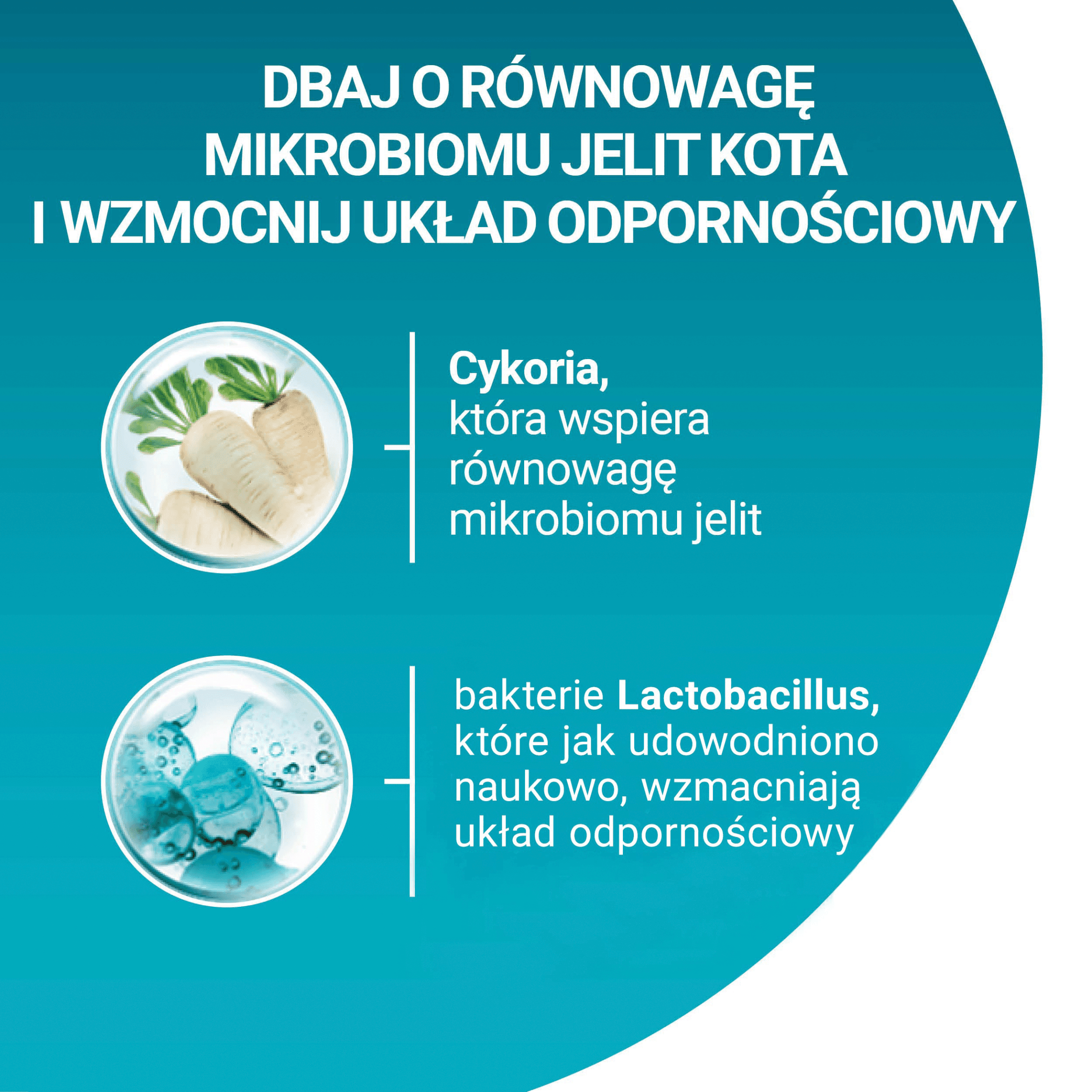 Purina ONE Adult Bifensis karma sucha z łososiem dla dorosłych kotów 9 75 kg