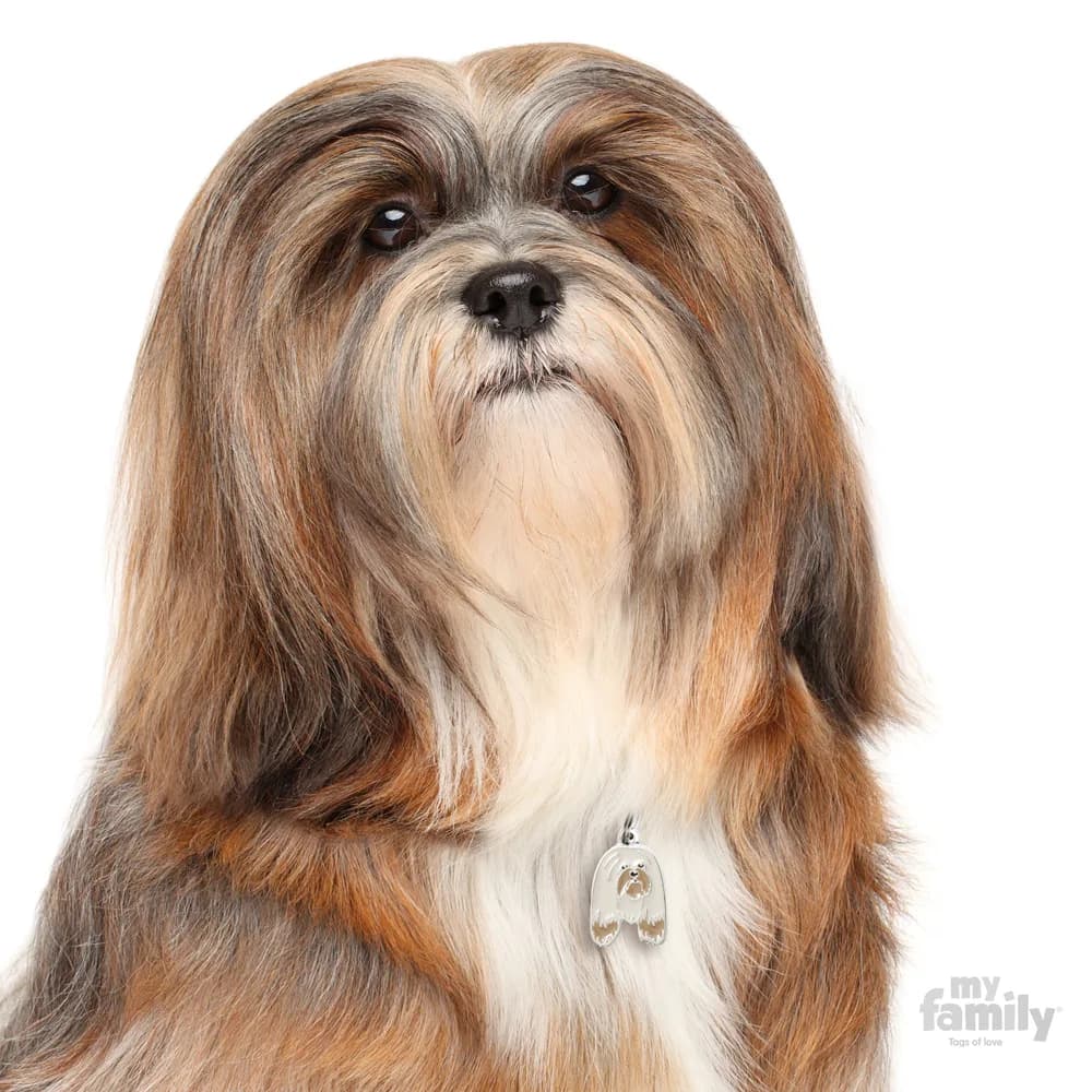 My Family adresówka Friends Lhasa Apso