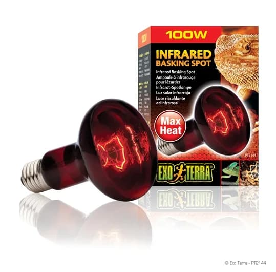 Exo-Terra Żarówka grzejąca Heat Glo – 50 W