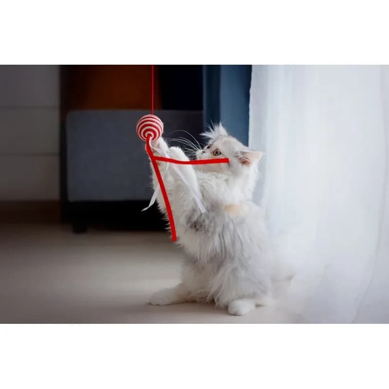 Pet Supplies Fun ball Piłeczka zabawka dla kota