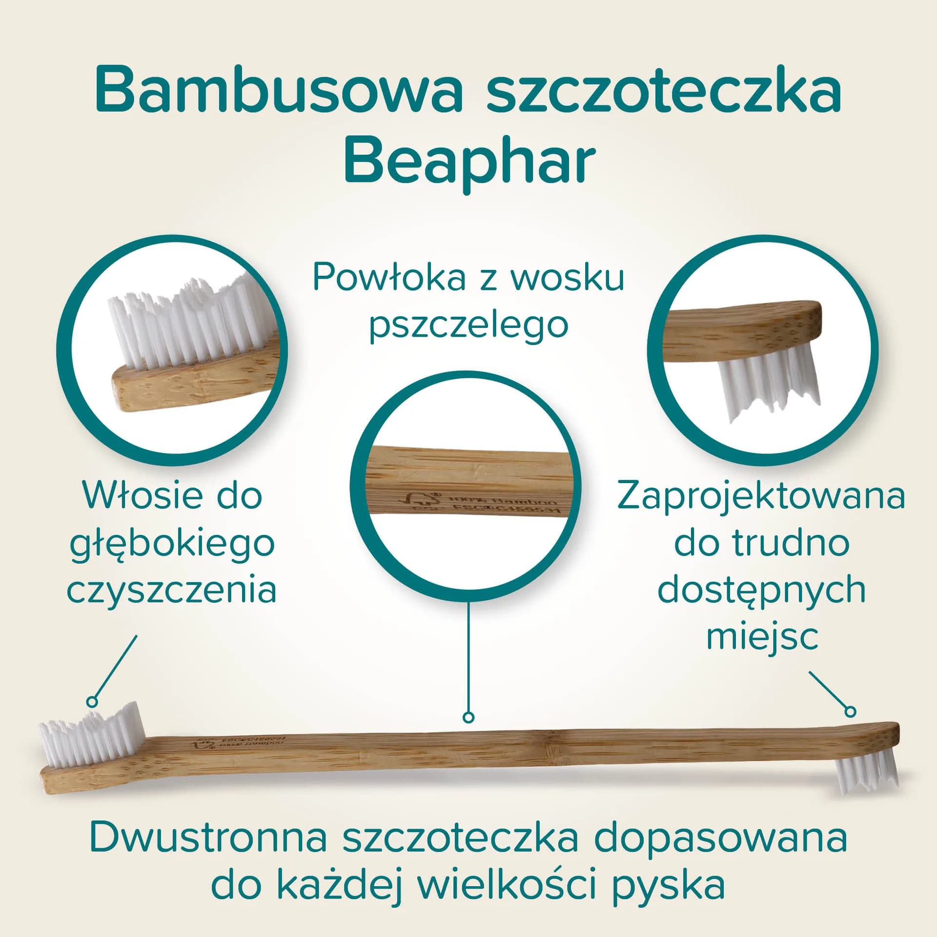 Beaphar dwustronna bambusowa szczoteczka do zębów dla psów i kotów