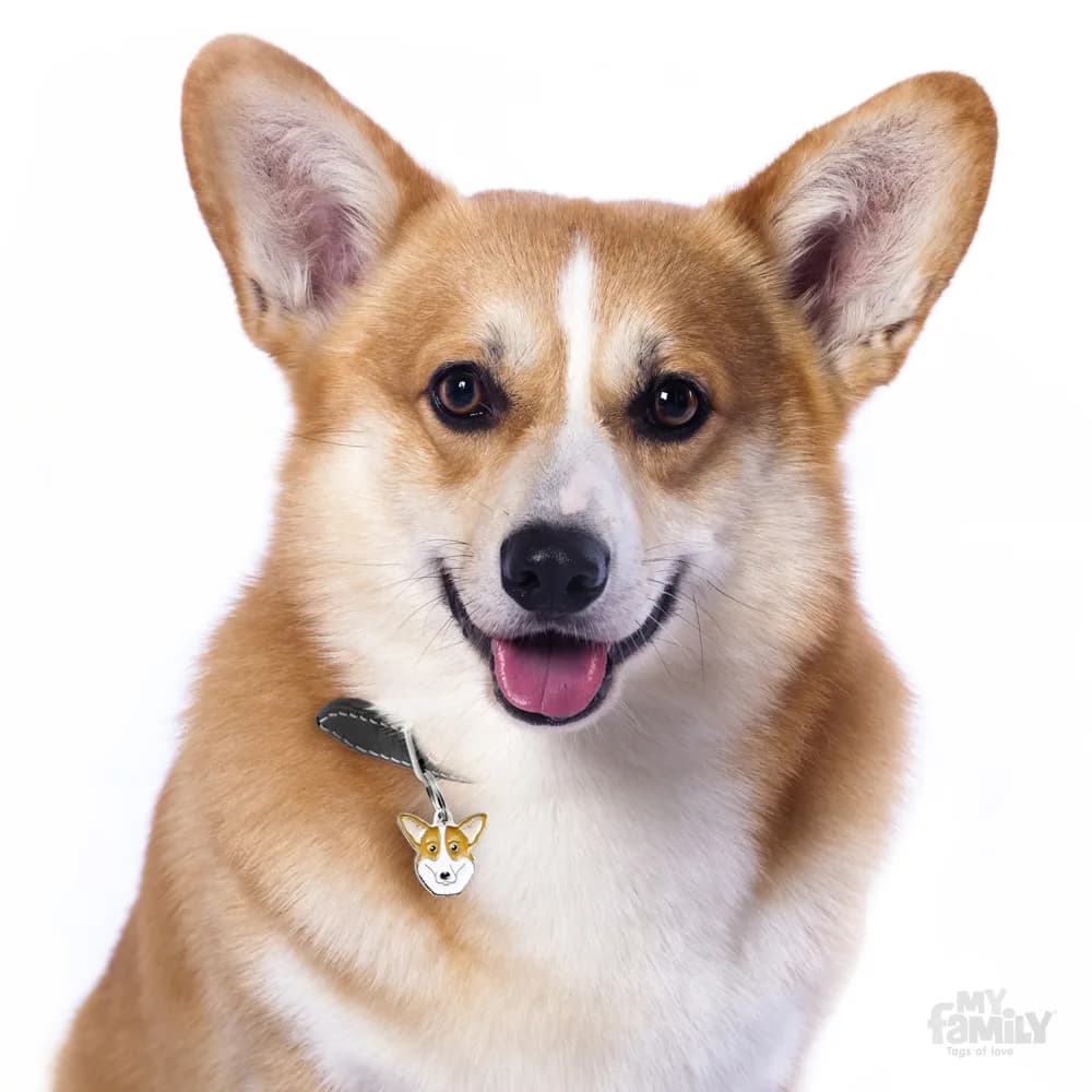 My Family Friends adresówka Welsh Corgi
