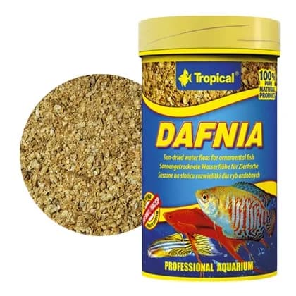 Tropical Dafnia naturalna