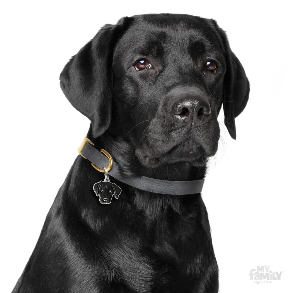 My Family Adresówka Friends Labrador – Czarny