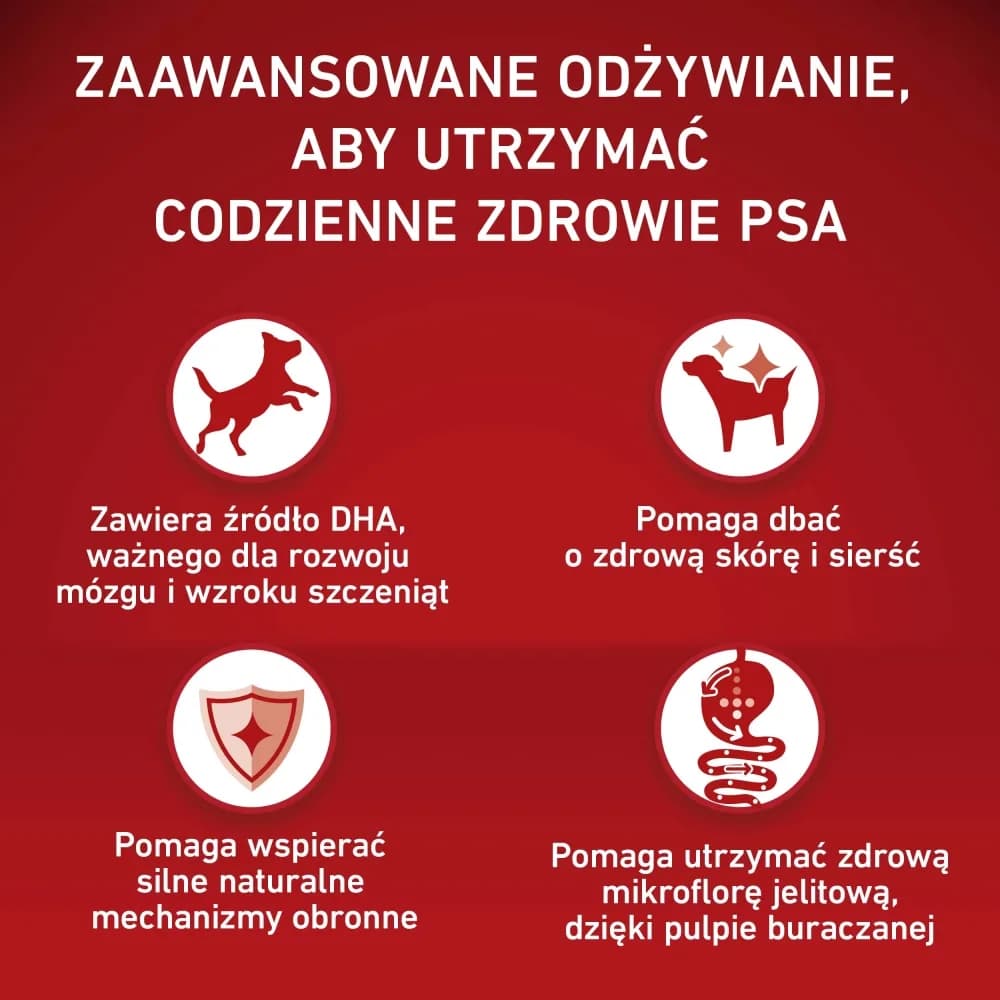 Purina ONE Junior Medium/Maxi Karma dla szczeniąt bogata w kurczaka z ryżem – 7 kg
