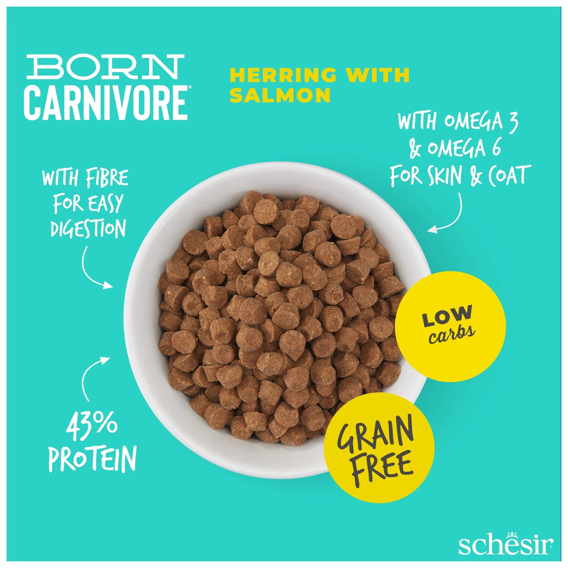 Schesir Born Carnivore karma sucha dla kotów dorosłych śledź i łosoś – 255 g