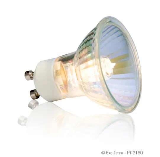 Exo-Terra Żarówka Sun Glo Halogen Daylight – 50 W