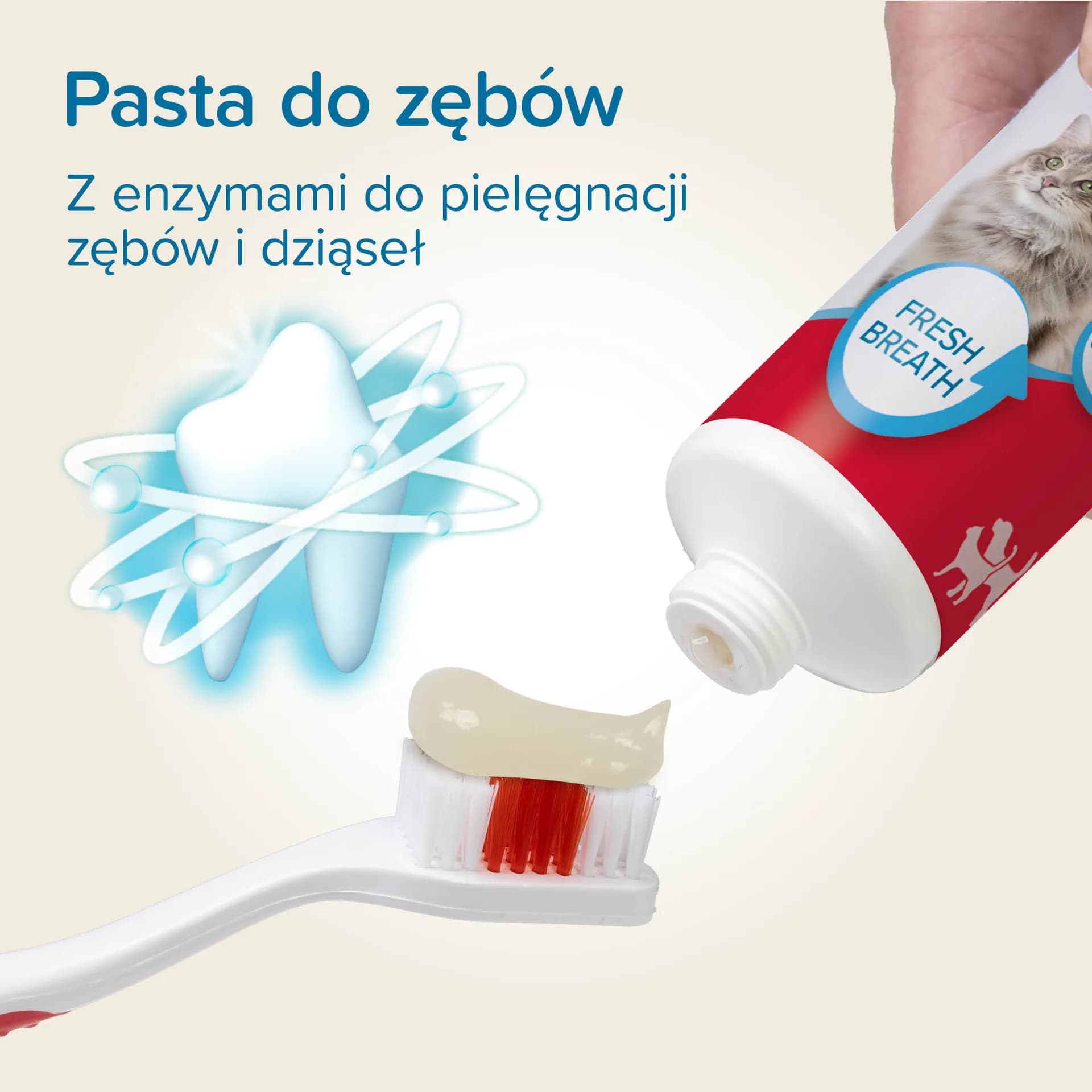 Beaphar zestaw do higieny jamy ustnej dla psów i kotów: szczoteczka + pasta do zębów