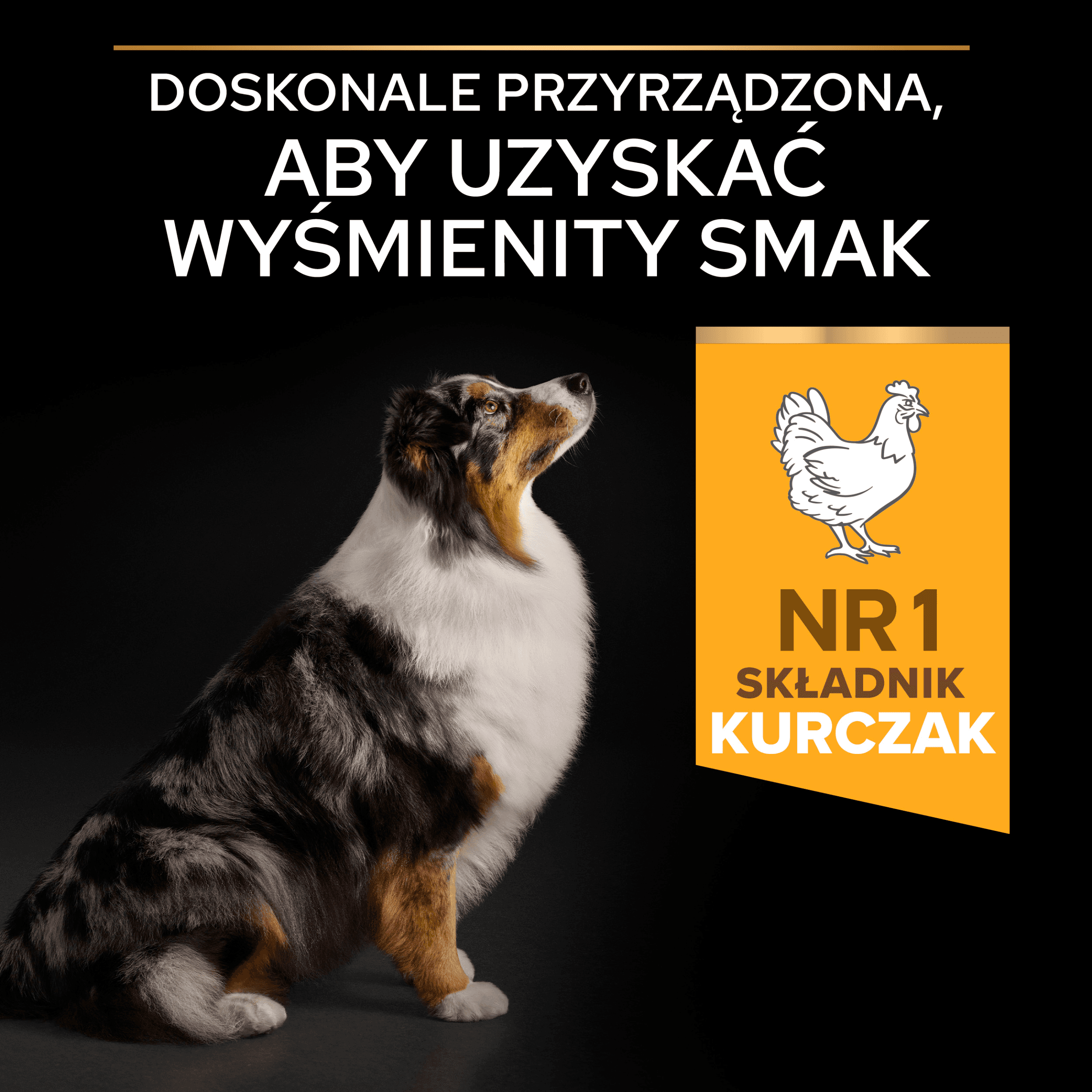 PRO PLAN Purina Medium & Large Adult 7+ Opti Age Kurczak