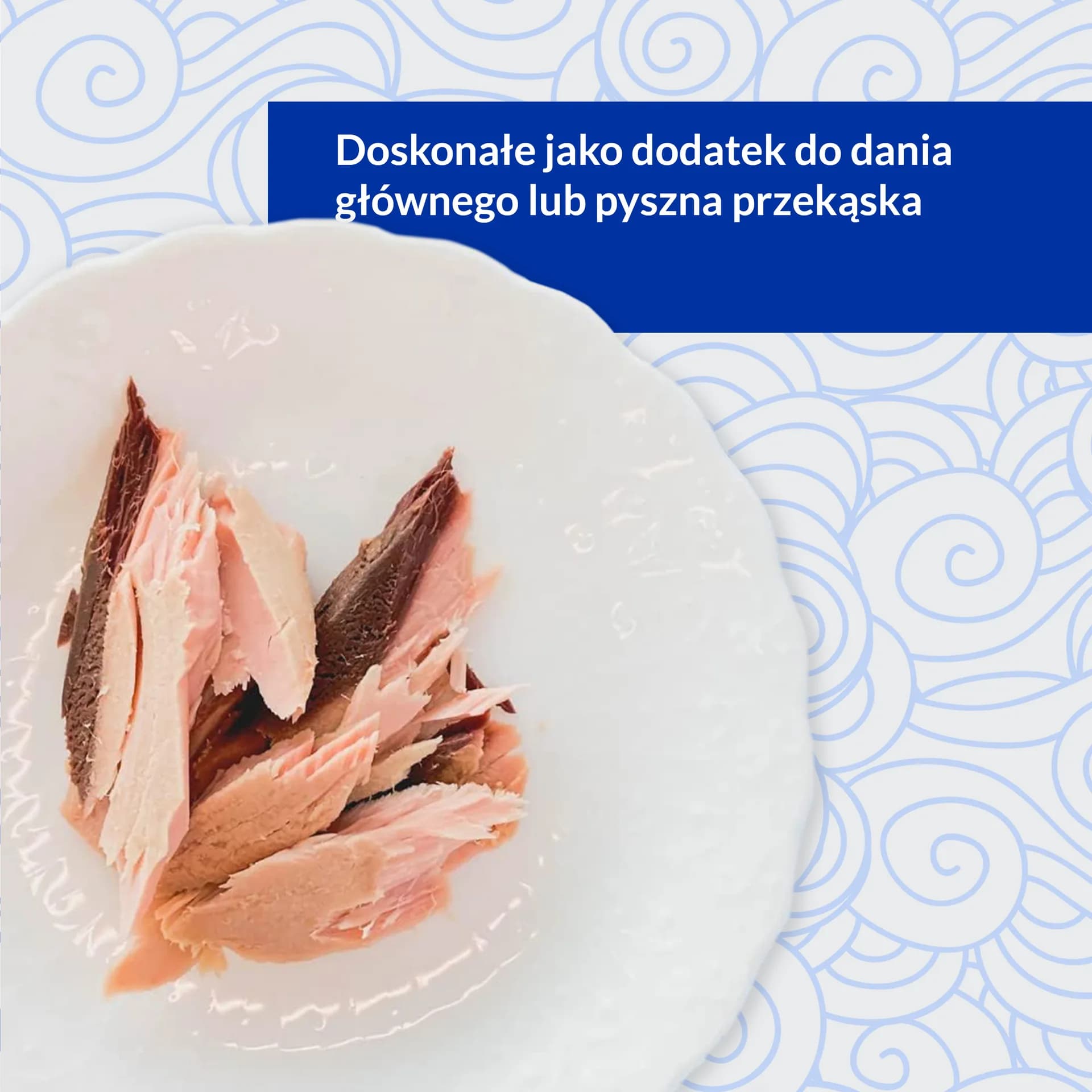 INABA Ciao Tuna Fillet Grilled In Homestyle Broth karma uzupełniająca dla kota 15 g