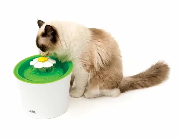 Catit filtr wymienny do fontanny 2.0 Flower Fountain od Hagen