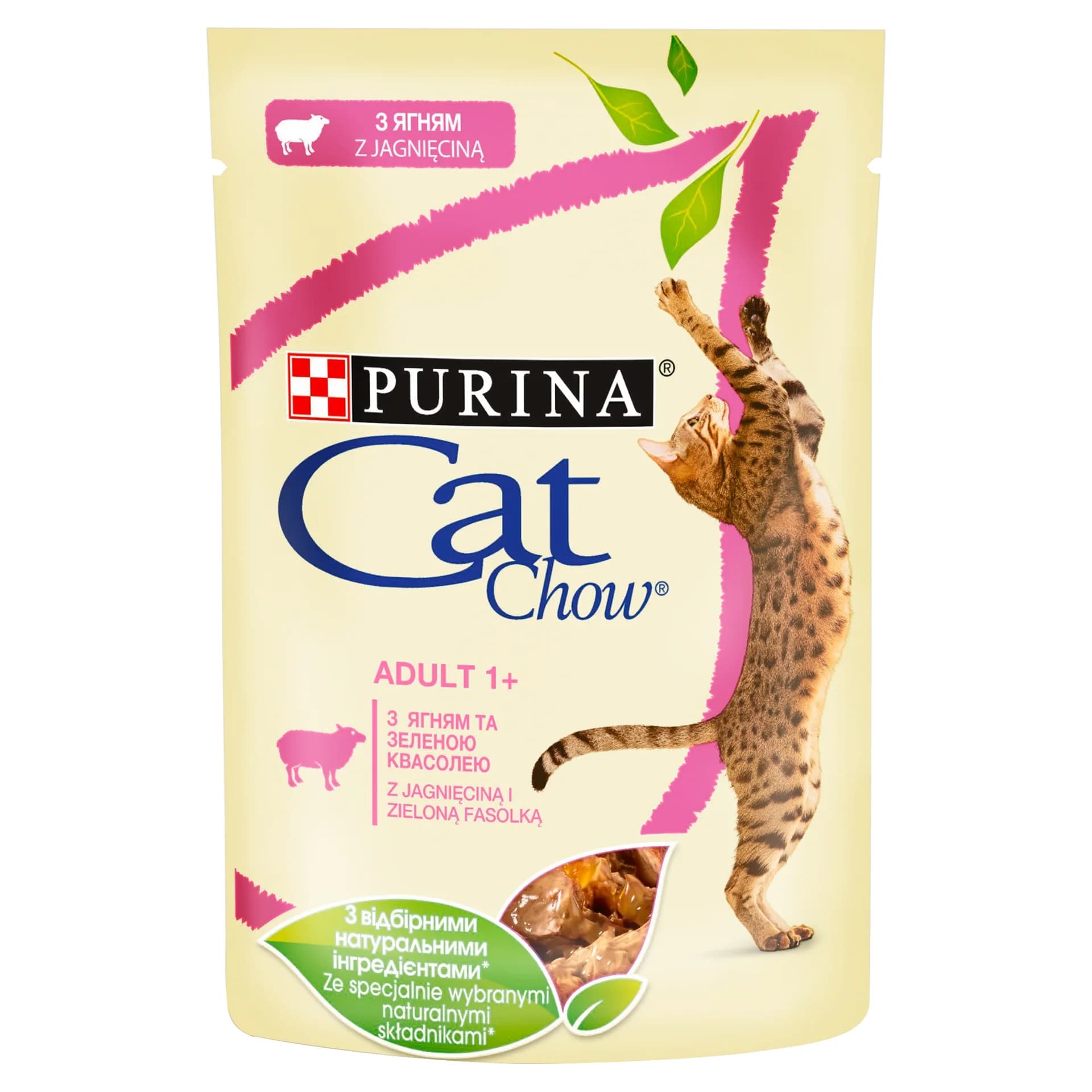 Cat Chow Purina Adult karma mokra z jagnięciną i zieloną fasolką w sosie dla dorosłych kotów – 85 g