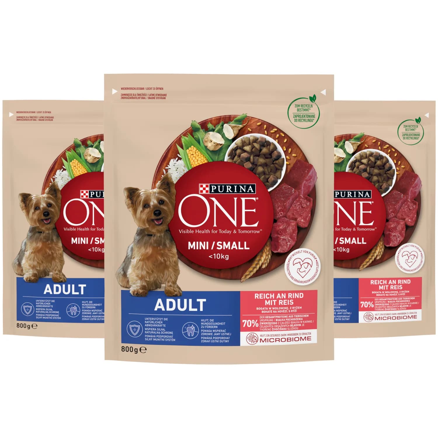 Purina ONE Adult Mini/Small Karma dla dorosłych psów bogata w wołowinę z ryżem – 0,8 kg