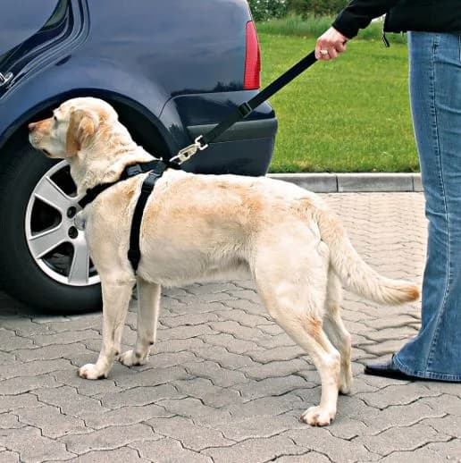 Trixie Szelki samochodowe dla psa z krótką smyczą – czarny, XS