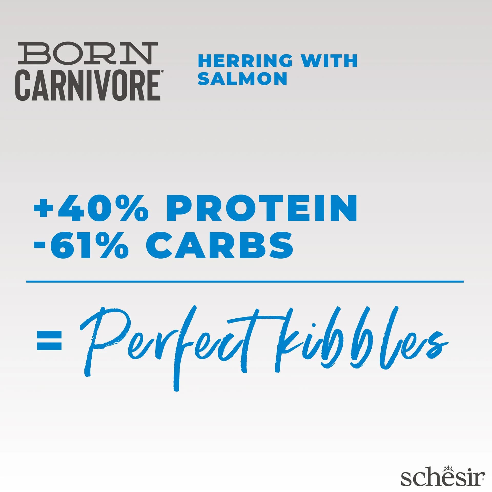 Schesir Born Carnivore karma sucha dla kotów dorosłych śledź i łosoś – 1,25 kg