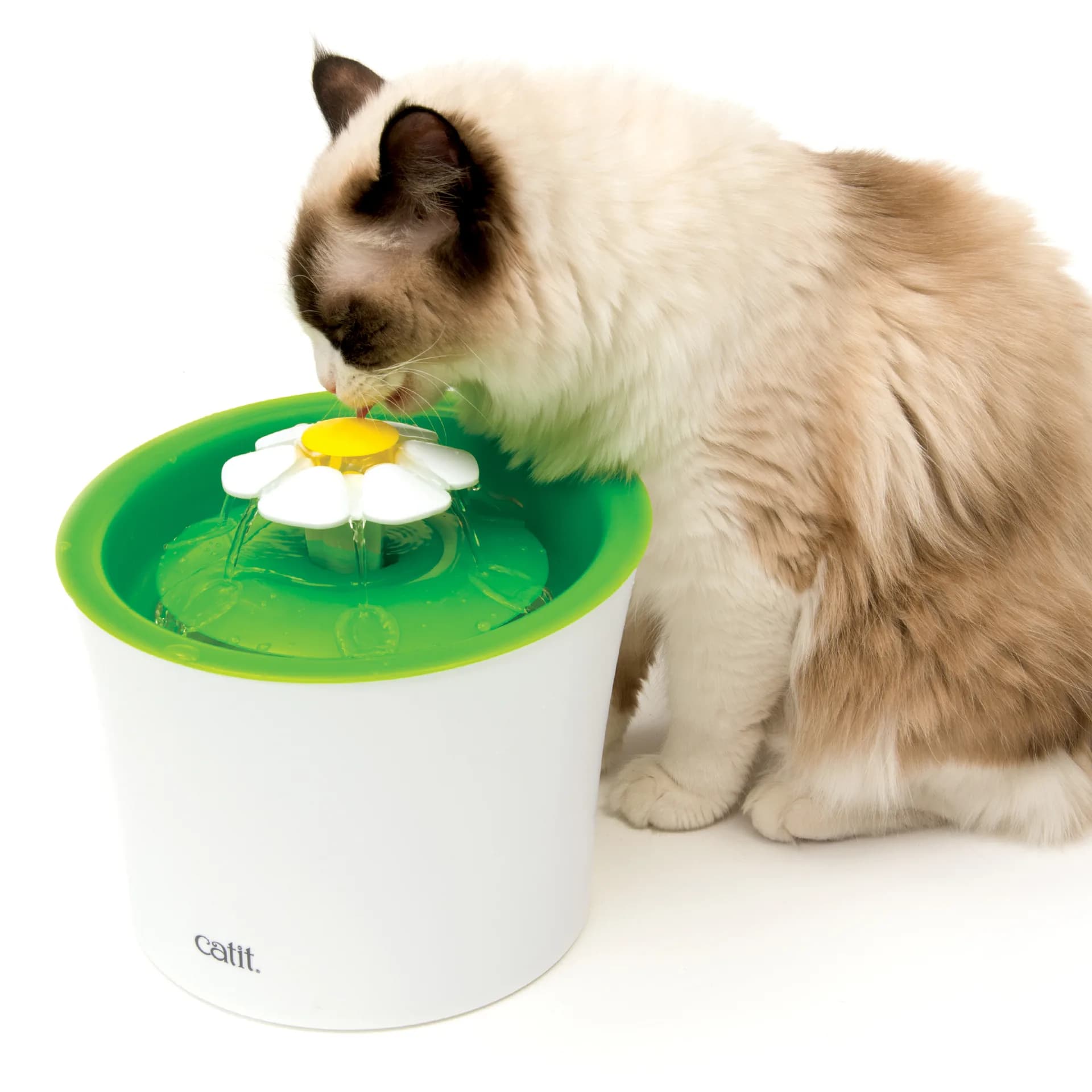 Catit Fontanna Senses 2.0 Flower Fountain dla kota od Hagen