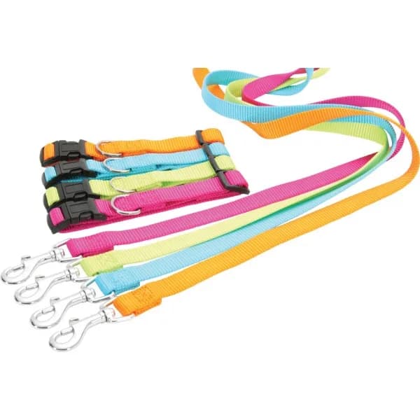 Zolux Smycz dla psa nylonowa – zielony, 10 mm
