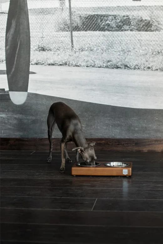 Bowl&Bone Miska Duo Amber – M, Amber