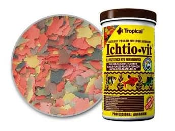 Tropical Ichtio-vit