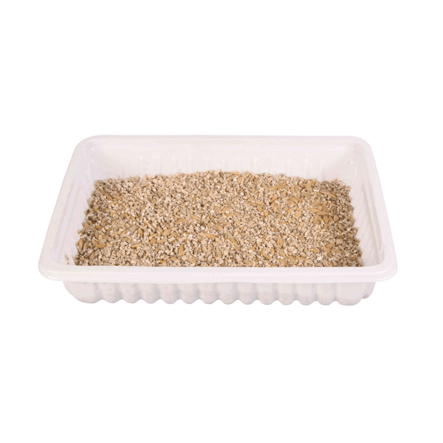 Trixie Miękka trawa dla kota 100 g – w pojemniku