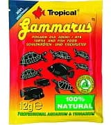 Tropical Gammarus – S