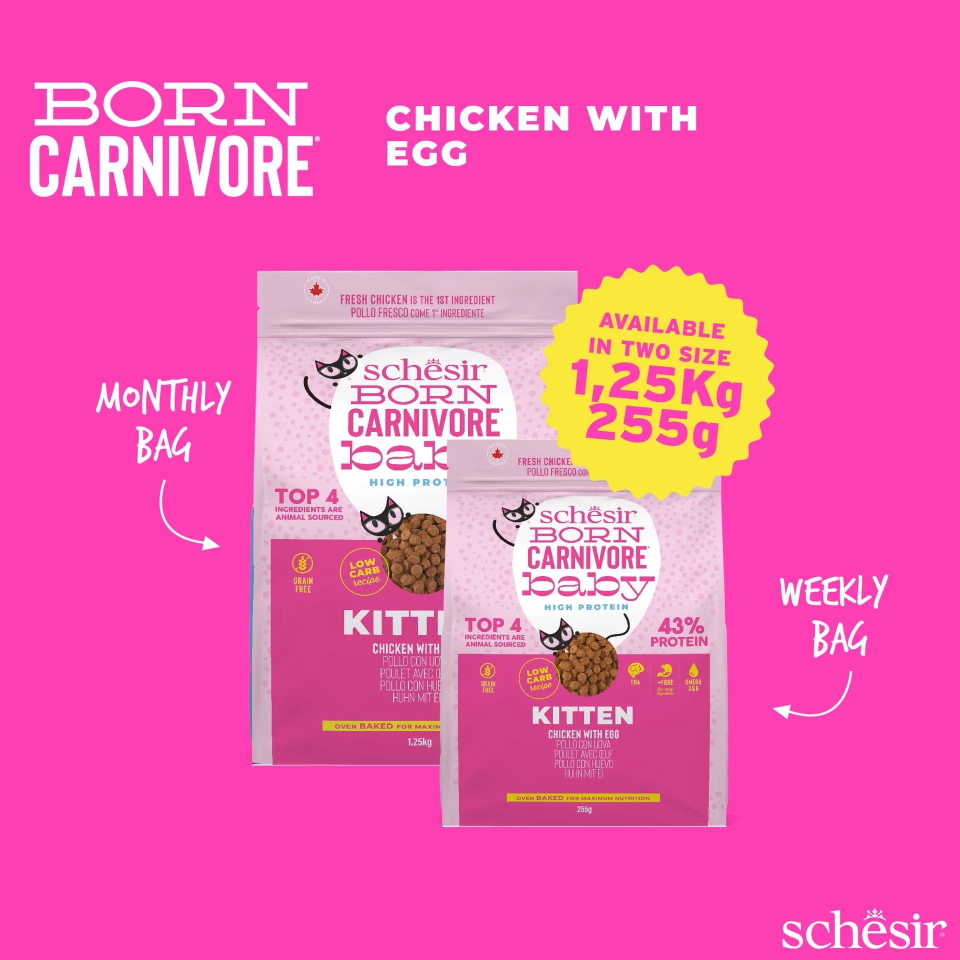 Schesir Born Carnivore karma sucha dla kociąt kurczak z jajkiem – 1,25 kg