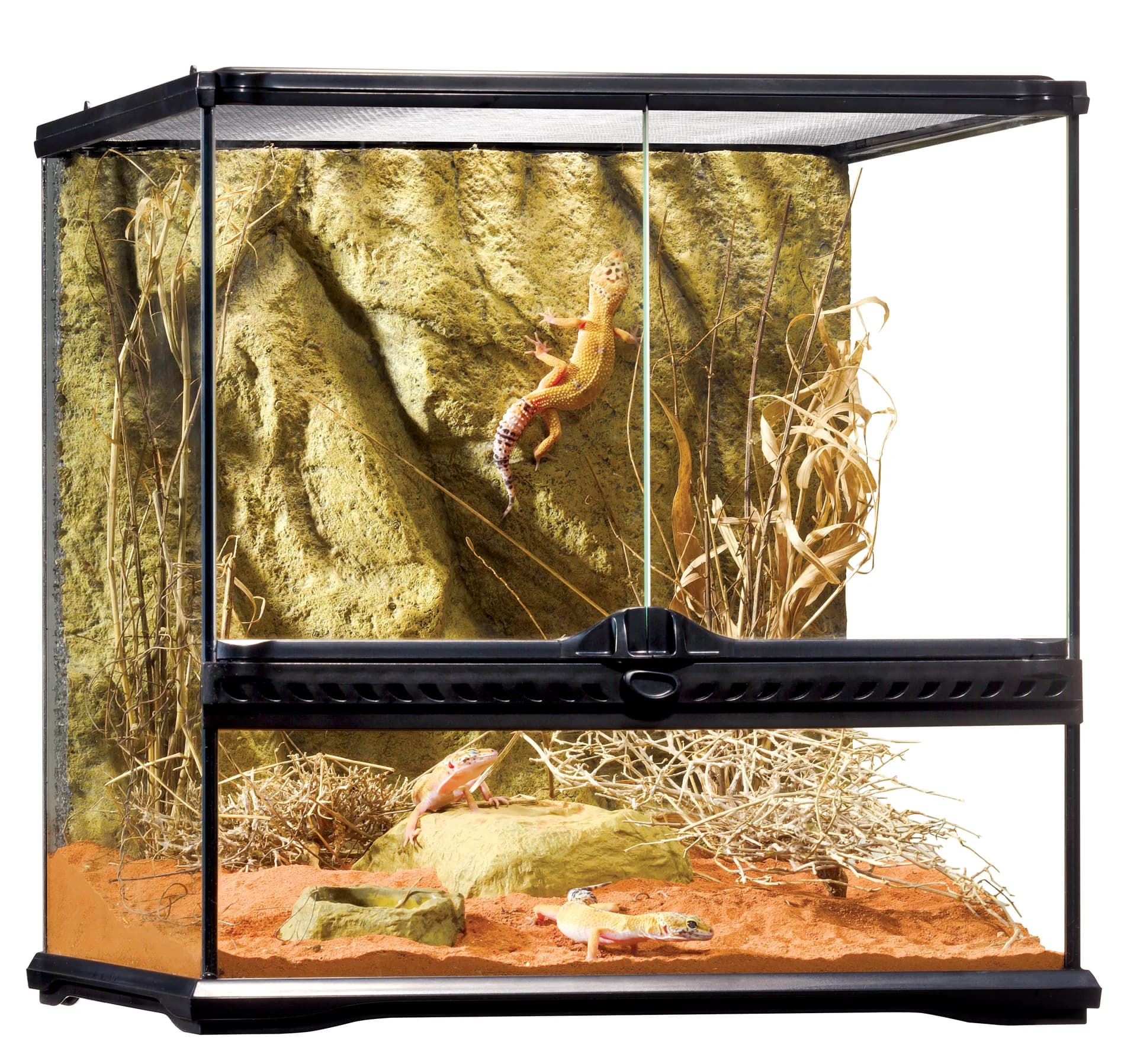 Exo-Terra Terrarium szklane Small szerokie