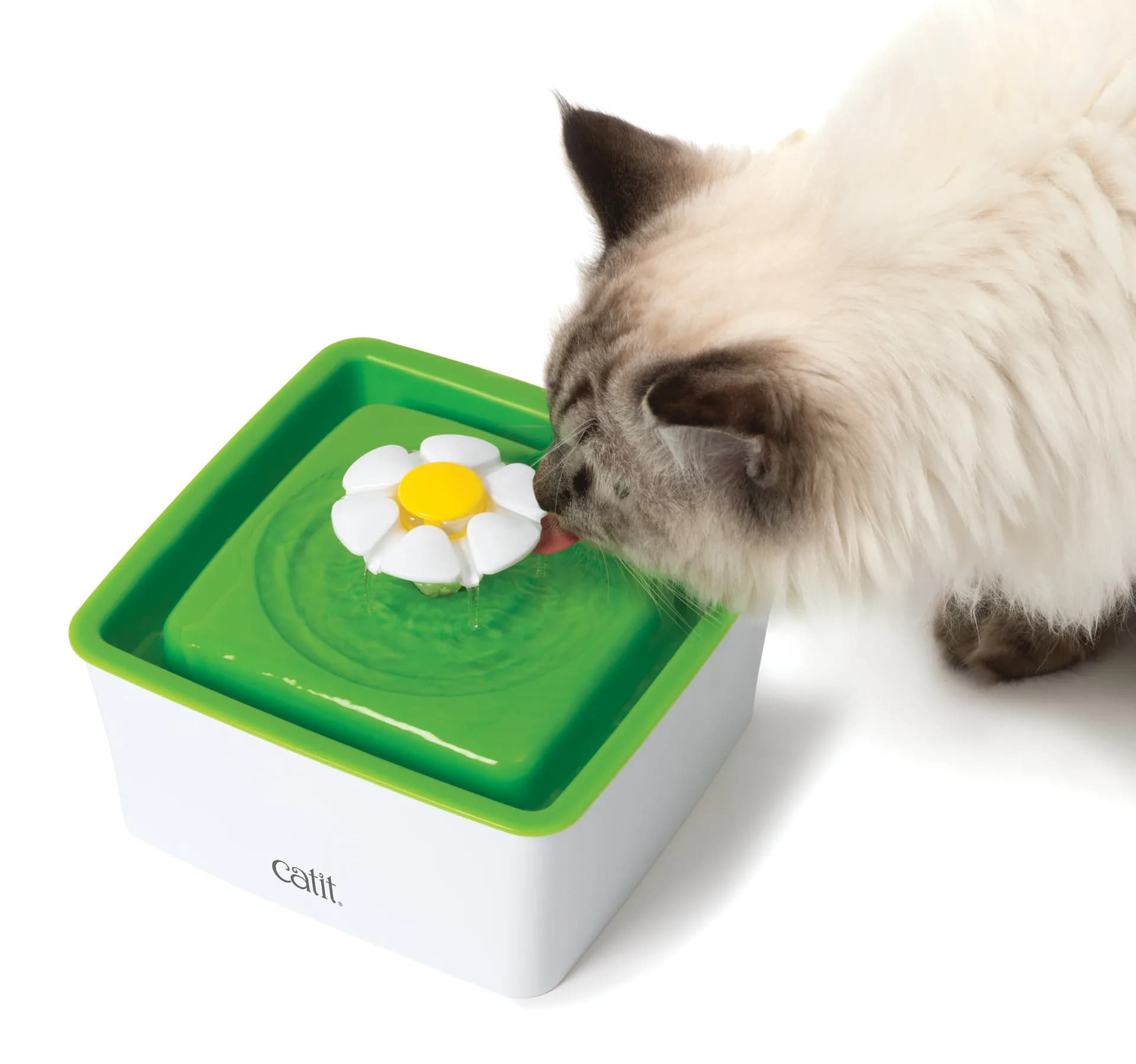 Catit Fontanna 2.0 Flower Fountain Mini dla kota od Hagen