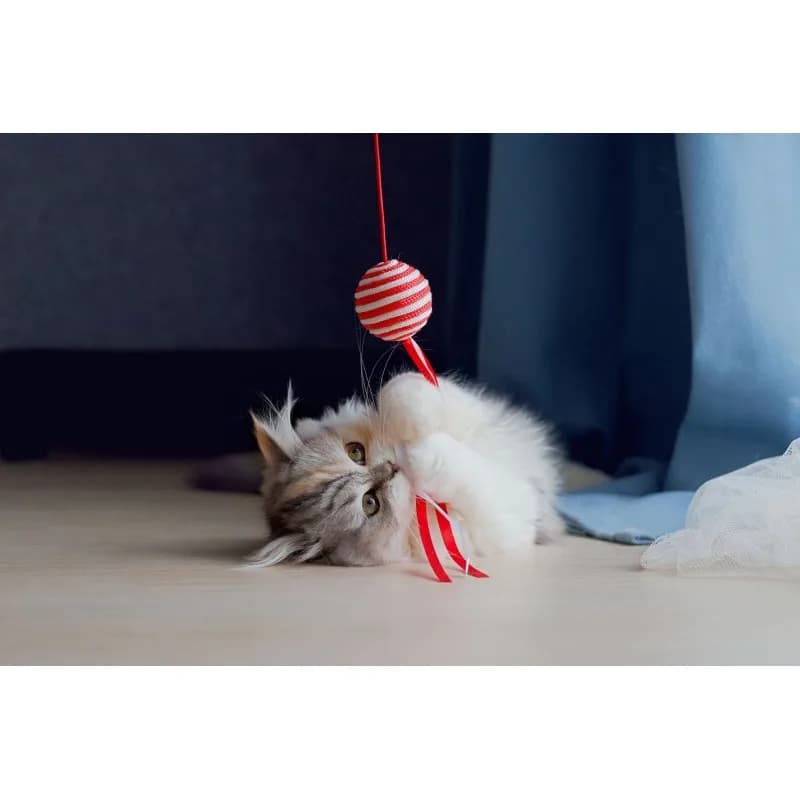 Pet Supplies Fun ball Piłeczka zabawka dla kota